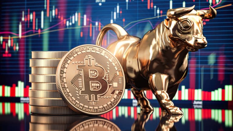 Bitcoin: The Last Bull Run 2025