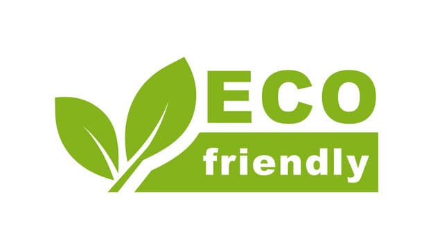 10 Easy Changes to Make Your Life More Eco-Friendly